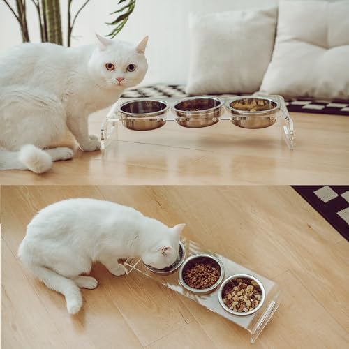 Tilted Raised Elevated Food and Water Bowls Stand for Cat or Small Dogs - Puppy's Clear Acrylic Stainless Steel 3 Dishes Holder for Boy or Girl Pet by WBhonghui (Clear-3bowls) - Image 5