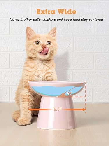 LoeJan Elevated Cat Food and Water Bowls Set, Extra Wide and Raised Ceramic Feeder, Anti-Vomit Whisker-Free Pressure Feeding Bowl for Kittens Adult Cats Small Dogs(Pink, Food Bowl) - Image 5