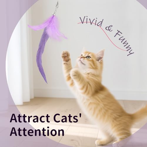 SONGWAY Cat Wand Toys for Indoor Cats - Cat Toy Set with Retractable Teaser Wand and 6 PCS Fairy Feather Toy Refills, Dragonfly Tassel Cat Toys Interactive, Purple - Image 6