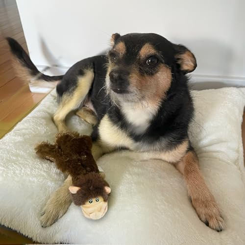 Best Pet Supplies 2-in-1 Stuffless Squeaky Dog Toy - Monkey, Small - Image 2