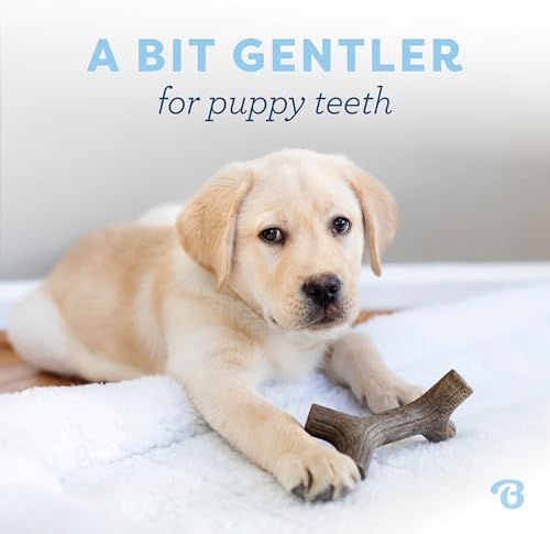 Benebone Puppy 2-Pack Maplestick/Zaggler Dog Chew Toys, Dog Bones, Tiny - Image 2
