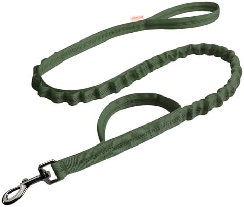 FOVRLZSE Reflective Bungee Dog Leash for Small Medium Large Dogs by FOVRLZSE