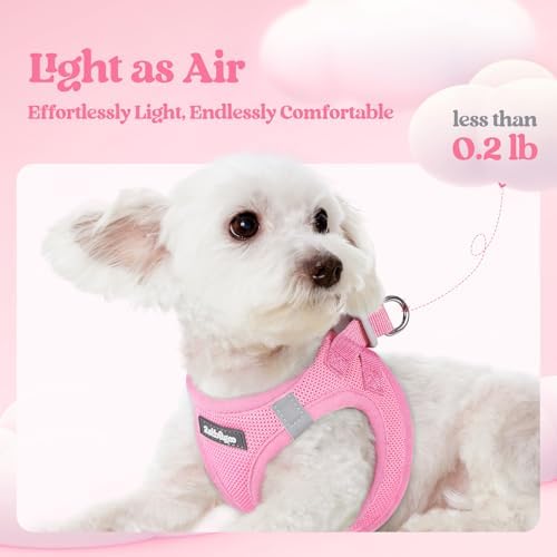 rabbitgoo Dog Harness Medium Sized and Leash Set, Step-in Puppy Pet Vest - Image 4