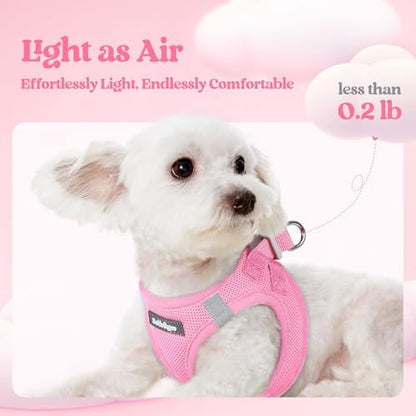 rabbitgoo Dog Harness Medium Sized and Leash Set, Step-in Puppy Pet Vest - Image 4
