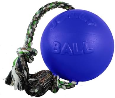 Jolly Pets Romp-N-Roll Rope & Ball Dog Toy, 4.5 in Small, Blue by JollyPets