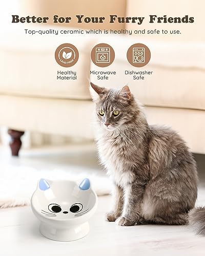 Raised Cat Food Bowl Ceramic 15° Tilted Cat Food Bowls Protect Cat's Spine Anti Vomiting Backflow Prevention Bowls for Adult Cats, Kitten, and Small Dogs, Blue - Image 2