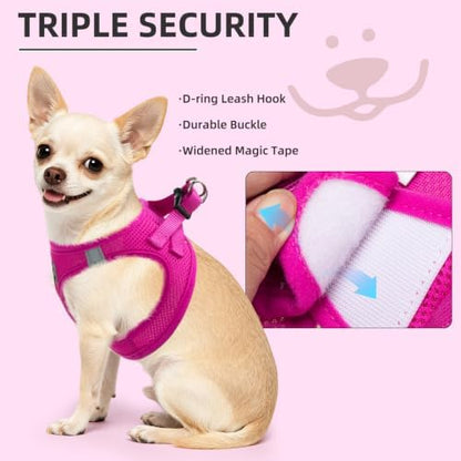 PUPTECK Dog Harness, Collar and Leash Set No Pull for Small Medium Sized - Image 6