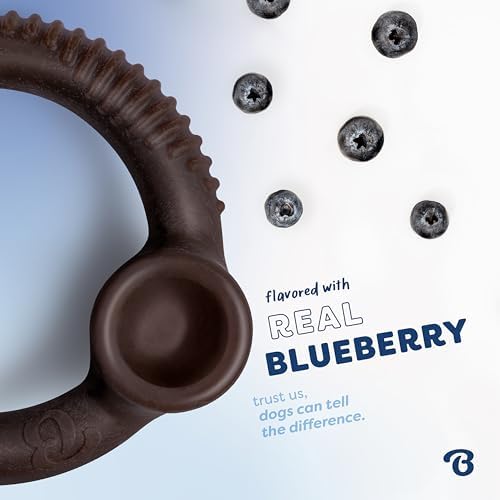 Benebone Ring Dog Chew Toy for Aggressive Chewers, Blueberry, Medium - Image 2