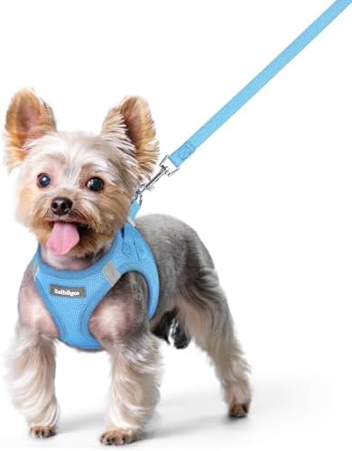 rabbitgoo Dog Harness Small Sized and Leash Set, Step-in Puppy Pet Vest by rabbitgoo
