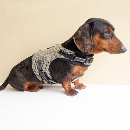 Mini Dachshund Harness – No Armpit Rub, Escape Proof, Reflective, No Pull Vest-Style Dachshunds Harness,Breathable Mesh Dog Harness (Khaki, M: Chest 42-52cm (16.5"-20.5")) - Image 7