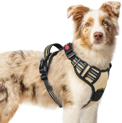 rabbitgoo Dog Harness Medium Sized, Updated Easy On & Off with 3 Buckles by rabbitgoo