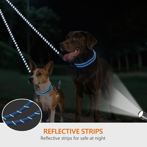 Taglory Double Dog Leash Coupler for Two Dogs, 1/3" Lightweight Dual Leash Extension for Small and Medium Dogs, No Tangle 360° Swivel, Reflective Rope, 30 Inch, Blue - Image 4