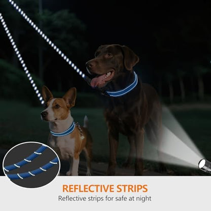Taglory Double Dog Leash Coupler for Two Dogs, 1/3" Lightweight Dual Leash Extension for Small and Medium Dogs, No Tangle 360° Swivel, Reflective Rope, 30 Inch, Blue - Image 4