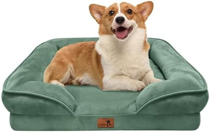 Spotted Play Orthopedic Dog Bed with Sides - Sofa Beds for Medium Dogs, Supportive Foam Pet Couch Bed with Washable Removable Cover, Waterproof Lining and Non-Slip Bottom, Green - M by Spotted+Play