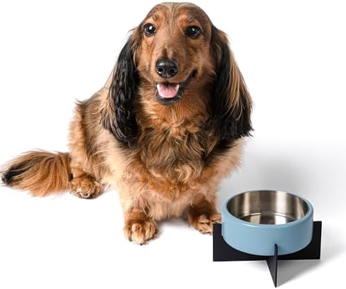 DBL3000F Intersecta Small/Medium Concrete and Stainless Steel Bowl 16oz (2 Cups) with Metal Stand Pet Feeder, Blue/Black - Image 6