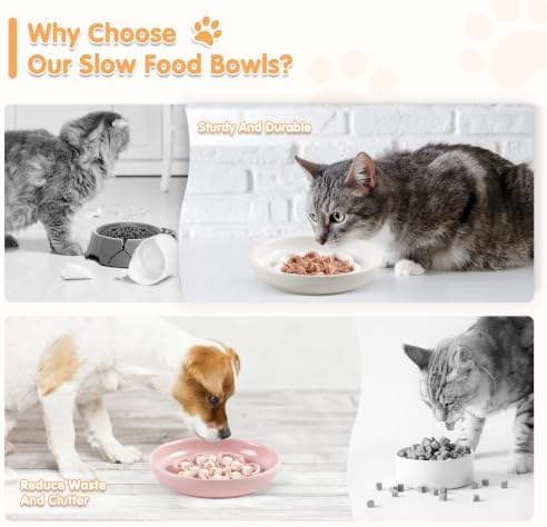 Cat Slow Feeder Bowl Set,2 Pcs Pastel Series Cat Plate for Dry and Wet Food - Image 4