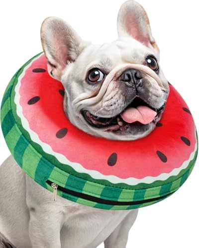 Inflatable Dog Pillow Cone Collar After Surgery, Donut Soft Neck Cone for Beagle French Bulldog Medium Plus Dogs, etc, Recovery E Collar to Stop Licking Watermelon by Didopet