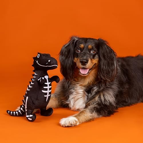 Fringe Studio Pet Toy, Trick RAWR Treat Glows in the Dark Plush Dog Toy, PetShop Collection (314607) - Image 4