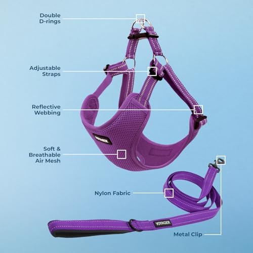 Best Pet Supplies Voyager Adjustable Step-in Flex Breathable Mesh Dog Harness for Small Medium Large Dogs Leash Set (Purple), XS - Image 3