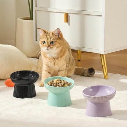Ceramic Elevated Cat Bowls-Water Bowl, 15° Tilted Design, Anti-Vomiting & Spine Protection, Prevent Whisker Fatigue for Kittens to Adult Cats and Small Dogs (White-15° Cat Bowls-2) - Image 6