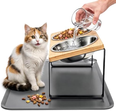 Elevated Tilted Cat Food Bowls with Mat, 304 Stainless Steel 2 Water Bowls by OneBug