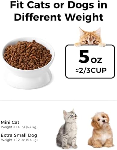 LoeJan Elevated Cat Food Bowl, 5 Oz Ceramic Raised and Tilted Water Bowl, Anti Vomiting and Protect Pets' Spines Dishes for Small Dog, Fat Faced Cat, Kitten (White, 2 Pack) - Image 2