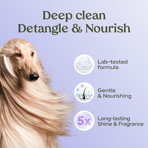 PAWFUME Dog Shedding Shampoo and Conditioner, Royal Lavender, 2-Pack - Image 5