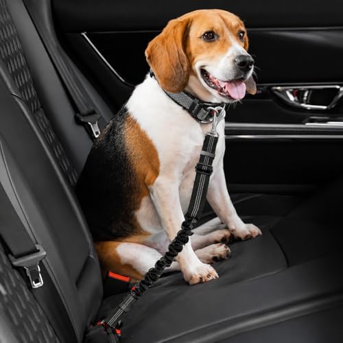 Dog Seat Belts for Cars, Adjustable Elastic Bungee Pet Seat Belt - Image 7
