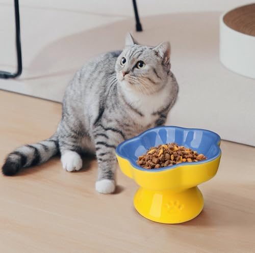 S&Q's CERAMICS Raised Cat Bowl, Elevated Cat Bowl for Food and Water, Ceramic Titled Dish, Anti Vomit & Whisker Friendly, Microwave and Dishwasher Safe (Blue, 5.8") - Image 5