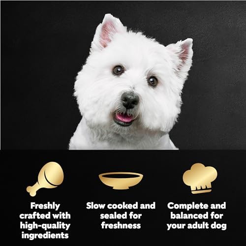 Cesar Mini-Pouch Wet Dog Food, Filet Variety Pack, 1.76 oz, 40 Count - Image 2