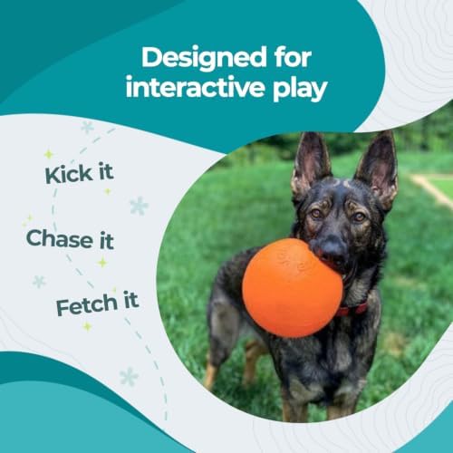 Jolly Pets Bounce-n-Play Dog Toy Ball, 8 Inches/Large, Orange, (Model: 2508 OR) - Image 3
