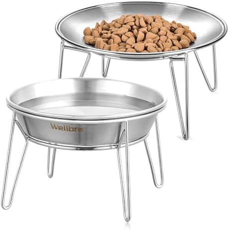 Elevated Cat Bowls, Wide Stainless Steel Cat Food Bowls with Metal Stand Whisker Stress-Free, Raised Food and Water Dish for Cats, Kitten, Puppies and Small Dogs by Wellbro