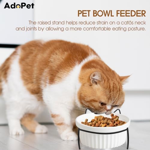 Elevated Ceramic Cat Bowl with Metal Stand – Non-Slip White Pet Food Tray with Herringbone Design Helps Reduce Neck Strain for Small and Medium Cats and Dogs - Image 2