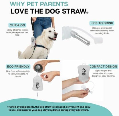 – The Ultimate Portable Water Solution for Dogs, 5oz Gray