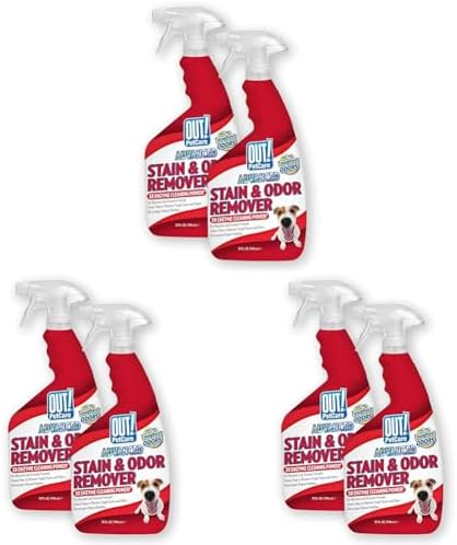 OUT! PetCare Pet Odor & Stain Remover Spray, Carpet & Floor Cleaner, Deodorizer for Dogs & Cats, Made in USA, 32 fl oz (6 Pack) by OUT