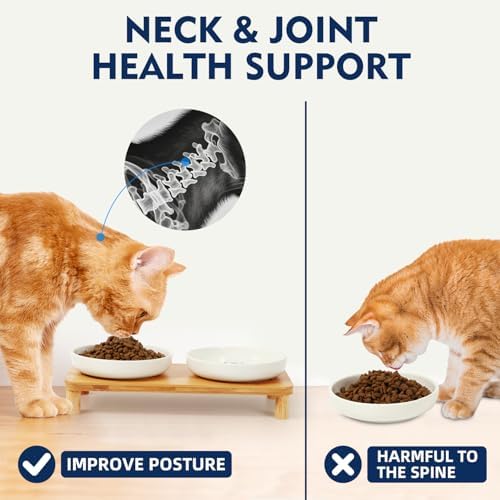 DoogCat Raised Cat Bowls, Bamboo Stand with 2 Ceramic Bowls - Image 4