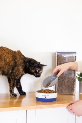 Pearhead Ceramic Cat Bowl, Holds 12 oz, Navy Blue “Paws Off” Design - Image 5