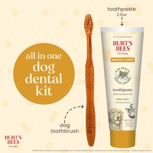 Burt's Bees Manuka Honey Fresh Mint Dog Dental Kit, 2.5 Oz - Image 3