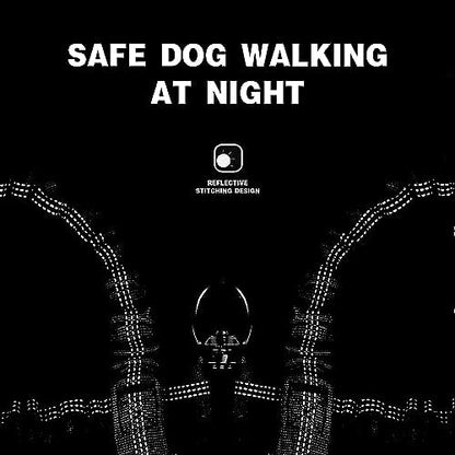 3 Dog Leash No Tangle, Heavy Duty Multiple Dog Lead Shock Absorbing Bungee with Padded Handle Removable Pet Traction Walking Rope for Medium Large Dogs (25-180 Lbs) - Image 7