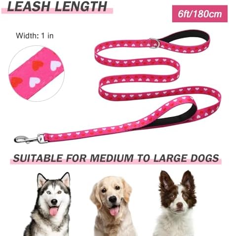 Hikiko 6FT Dog Leash Padded Double Handle with Designed Pattern - Image 5
