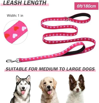 Hikiko 6FT Dog Leash Padded Double Handle with Designed Pattern - Image 5