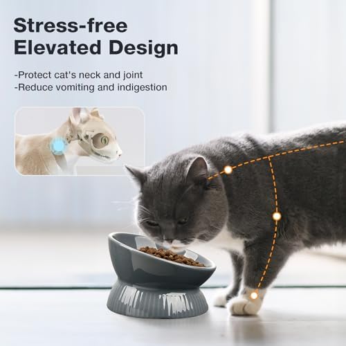 Elevated Pet Feeding and Drinking Bowls, Ceramic Tilted Cat Food Bowl, Anti Vomiting, Stress Free on Neck and Spine, Spill-Proof, Anti-Tipping, Dishwasher Safe, Raised Pet Bowls, Dry/Wet Food - Image 2