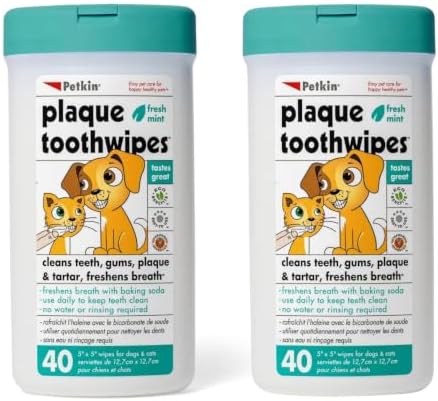 Petkin Cat and Dog Dental Wipes, 80 Wipes (Fresh Mint) - Natural Formula Cleans Teeth, Gums & Freshens Breath - for Daily Use - Convenient Dog Dental Care - 2 Packs of 40 Wipes (80 Wipes Total) by Petkin