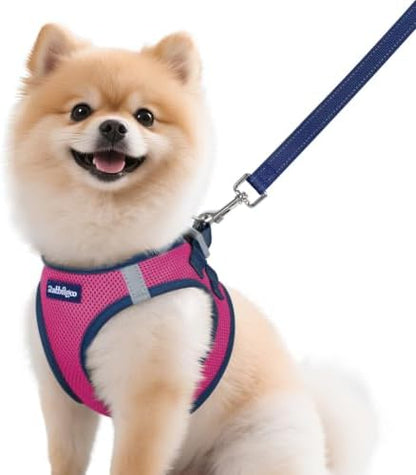 rabbitgoo Dog Harness Small Sized and Leash Set, Step in Soft Vest by rabbitgoo