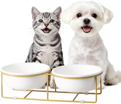 Elevated Dog Bowls for Food and Water - Double Ceramic Bowls with Metal Stand - Pet Feeding Set for Small Dogs and Cats - Each Holds 400ml / 2 Cups (Approx. 200g) - White by HCHLQLZ