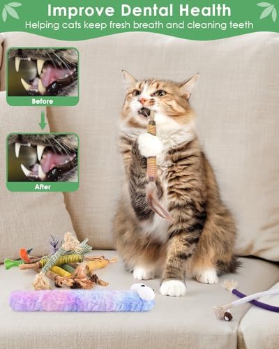 Bissap 20PCS Silvervine Chew Sticks, Catnip Chewing Toy for Cat Kitten - Image 6