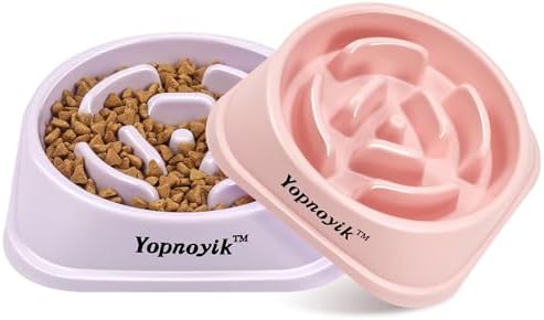 2 Pack Slow Feeder Dog Bowls for Large Dogs by Yopnoyik