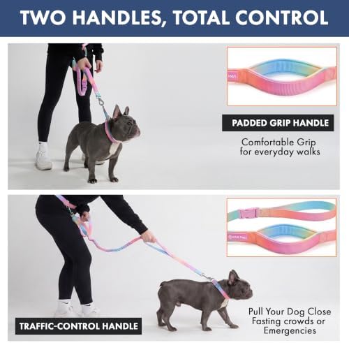 Spark Paws Hands Free Dog Leash - Bungee Waist Belt for Running & Walking - Image 5