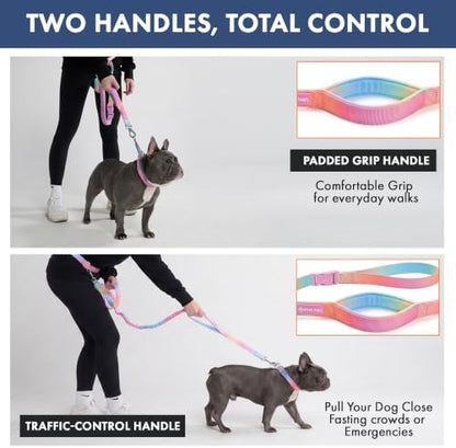 Spark Paws Hands Free Dog Leash - Bungee Waist Belt for Running & Walking - Image 5