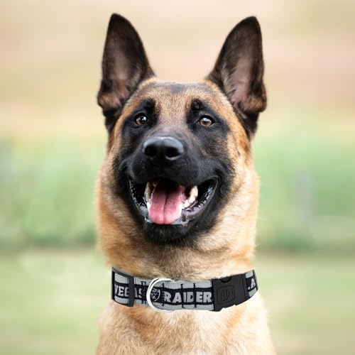 Pets First NFL Raiders Licensed PET COLLAR, Extra Large - Heavy-Duty, Strong, and Durable Dog Collar. Available in 31 Football Teams and 4 Sizes - Image 5